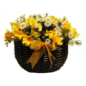 Sunny Basket