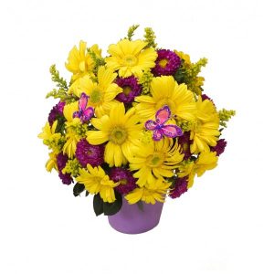 Sunshine Pot